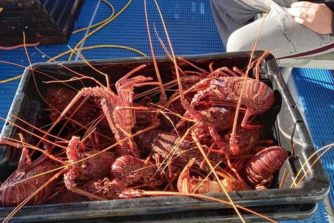 Lobster Fishing Tour At Geraldton - Foster Accommodation 6