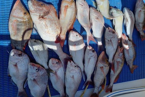 Geraldton Fishing Charter - Foster Accommodation 7