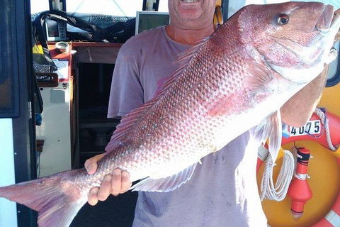 Geraldton Fishing Charter - Foster Accommodation 10