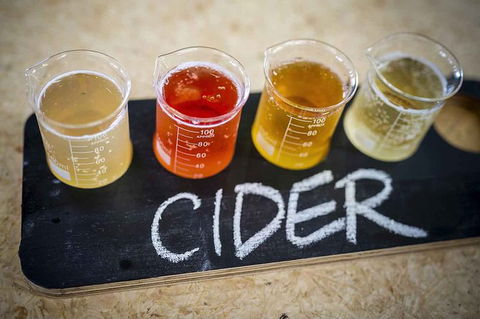 Bickley Valley Wine & Cider Tour - Premium Small Group Tour - Foster Accommodation 1