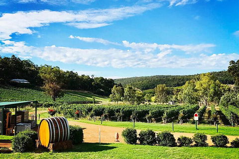 Bickley Valley Wine & Cider Tour - Premium Small Group Tour - Foster Accommodation 0