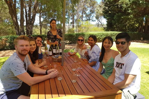 Full-Day Gourmet Wine Tour With Pick Up And Lunch - Foster Accommodation 5