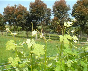 Pomborneit East VIC Foster Accommodation