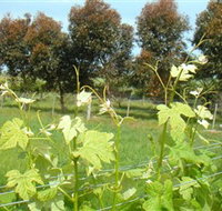 Barwon Ridge Wines - Foster Accommodation