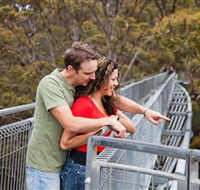 Valley of the Giants Tree Top Walk - Foster Accommodation