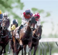 Colac Turf Club - Foster Accommodation