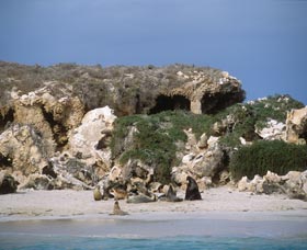 Jurien Bay WA Foster Accommodation