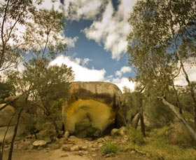 Hippo's Yawn - Foster Accommodation 0