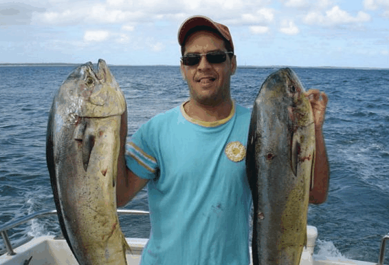 Jervis Bay Fishing and Charters - Foster Accommodation
