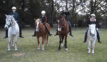 Valhalla Horse Riding - Foster Accommodation 1