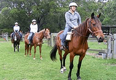 Valhalla Horse Riding - Foster Accommodation 2