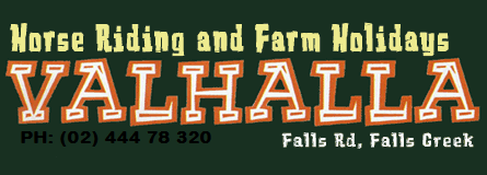 Valhalla Horse Riding - Foster Accommodation 4