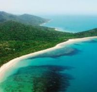 Jungle Tours and Trekking - Foster Accommodation
