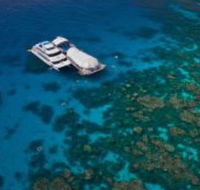 Great Adventures Reef and Green Island Cruises - Foster Accommodation