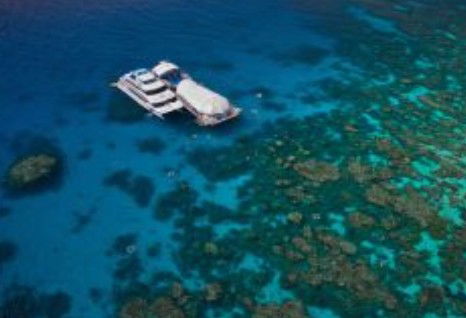 Great Adventures Reef And Green Island Cruises - Foster Accommodation 0