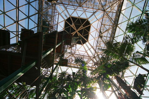 Cairns ZOOm And Wildlife Dome - Foster Accommodation 1