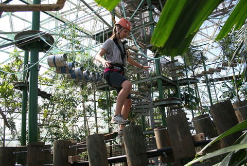 Cairns ZOOm And Wildlife Dome - Foster Accommodation 2