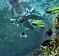 Calypso Reef Charters - Foster Accommodation