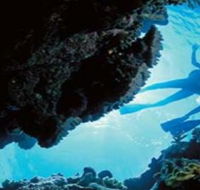 Deep Sea Divers Den - Foster Accommodation
