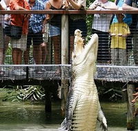 Hartley's Crocodile Adventures - Foster Accommodation