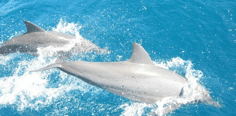 Tallship Adventures - Foster Accommodation 3