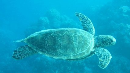 Tallship Adventures - Foster Accommodation 4