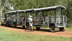 Whitsunday Crocodile Safari - Foster Accommodation 2