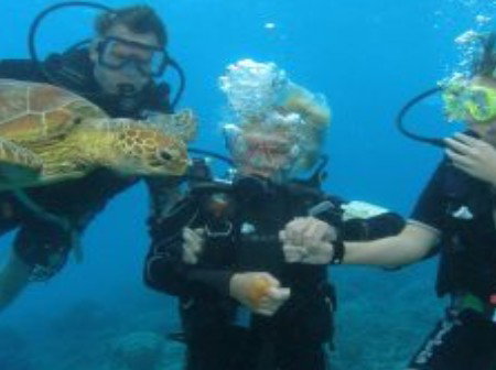 Yardarm Pty Ltd T/a Passions Of Paradise - Foster Accommodation 0