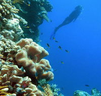 Reef Magic Cruises - Foster Accommodation