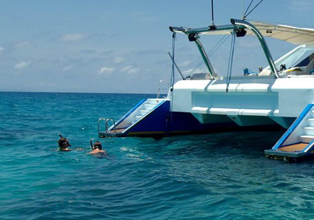 Synergy Reef Sailing - Foster Accommodation 2