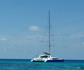 Synergy Reef Sailing - Foster Accommodation 5