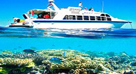 Reef Jet Cruises - Foster Accommodation 2