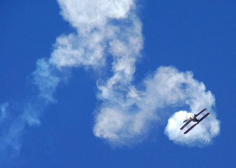 Tigermoth Adventures Whitsunday - Foster Accommodation 5