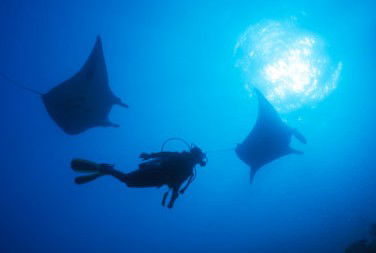 Adrenalin Snorkel And Dive - Foster Accommodation 1