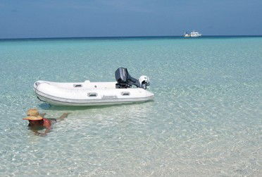 Adrenalin Snorkel And Dive - Foster Accommodation 4