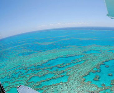 Air Whitsunday Seaplanes - Foster Accommodation 0