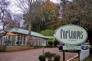  Foster Accommodation