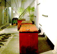 Koi - Foster Accommodation