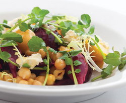 Sydney City NSW Foster Accommodation