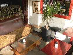 Blackcat - Foster Accommodation 2