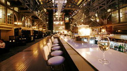 Ovolo Woolloomooloo - Foster Accommodation 3