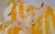 Orlando's Italian Ristorante Pizzeria - thumb 0