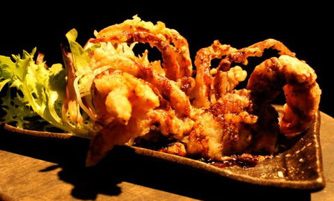 O Sushi Broadbeach - Foster Accommodation 3