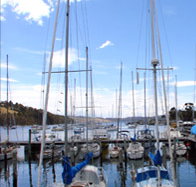 Oyster Cove Inn - Foster Accommodation