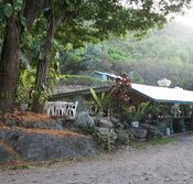 Ellis Beach Bar  Grill - Foster Accommodation