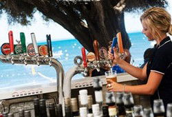  Foster Accommodation