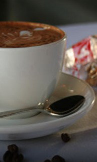 Mojos  - Foster Accommodation 2