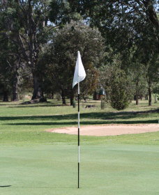 Inverell Golf Club - Foster Accommodation 1