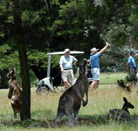 Glen Innes Golf Club - Foster Accommodation