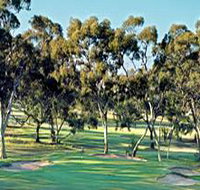 Tanunda Pines Golf Club - Foster Accommodation